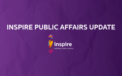 Inspire Public Affairs Update 17-11-25